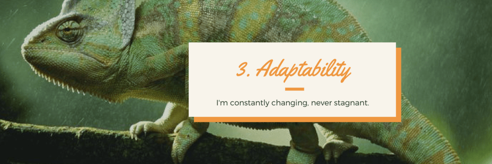 Taking the Initiative-6