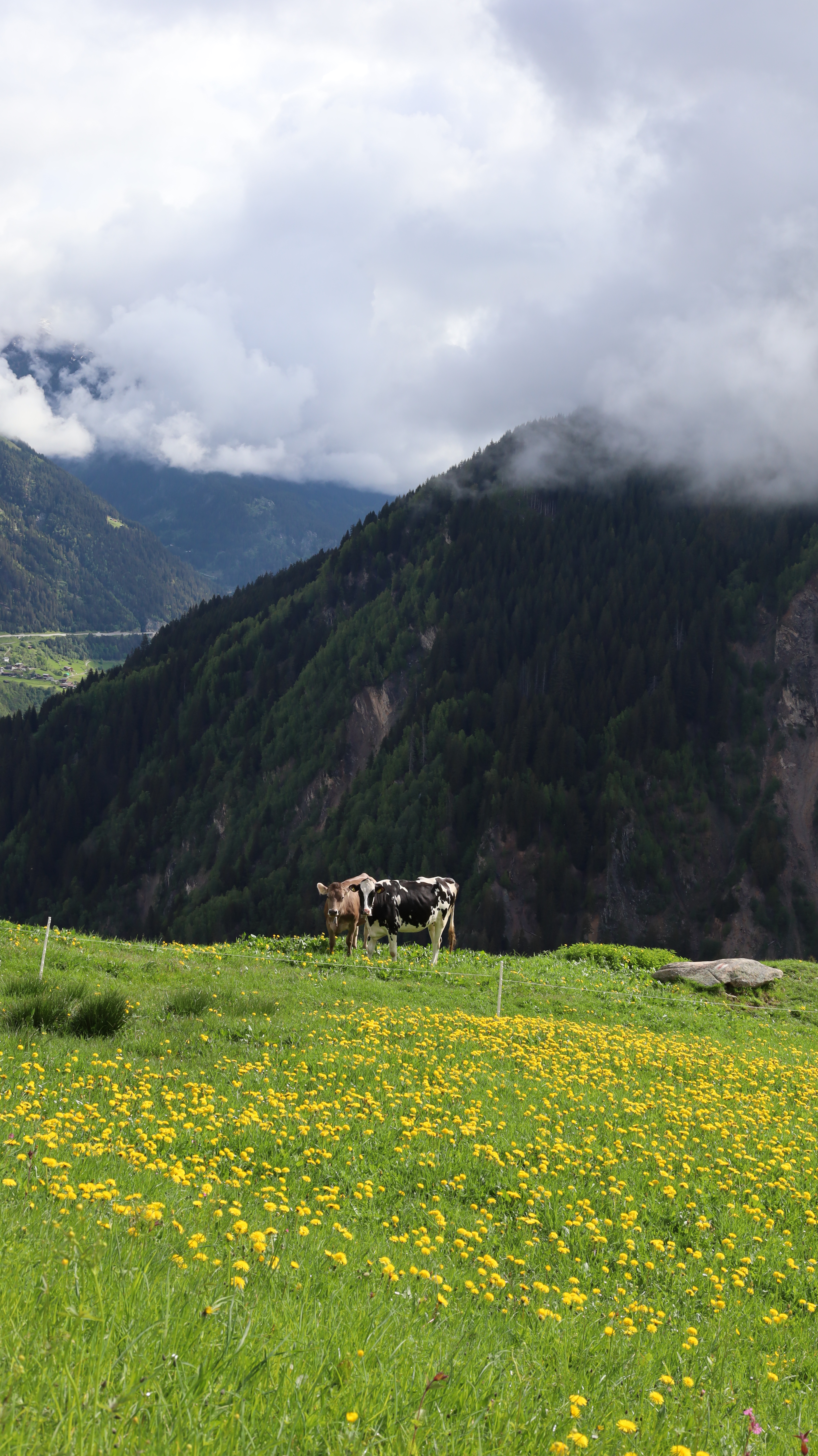 Switzerland Guide – Elizabeth Beeli